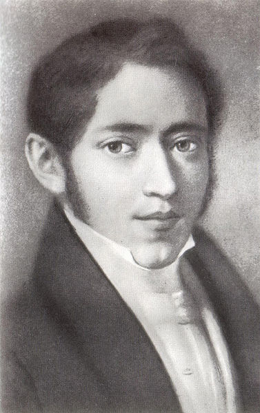 Portre of Ogarjov, Nyikolaj Platonovics