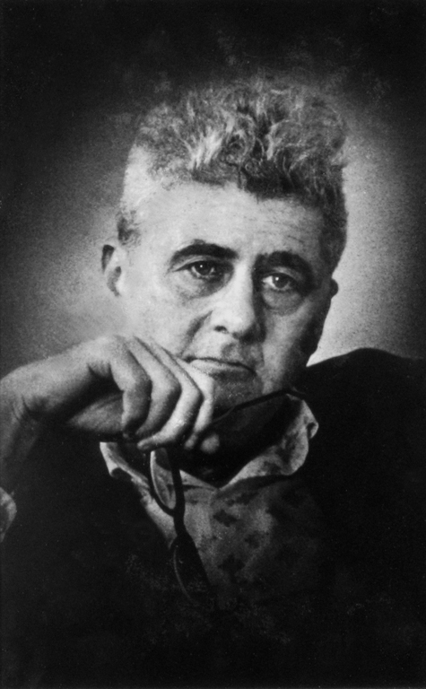 Nemerov, Howard portréja